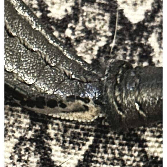 Coach Taylor Alexis Snakeskin Carryall Satchel Handbag Authenticated F26034] - Picture 9 of 14